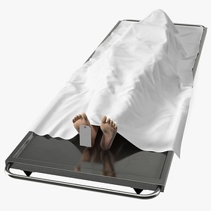 3D Female Dead Body Covered with Cloth model