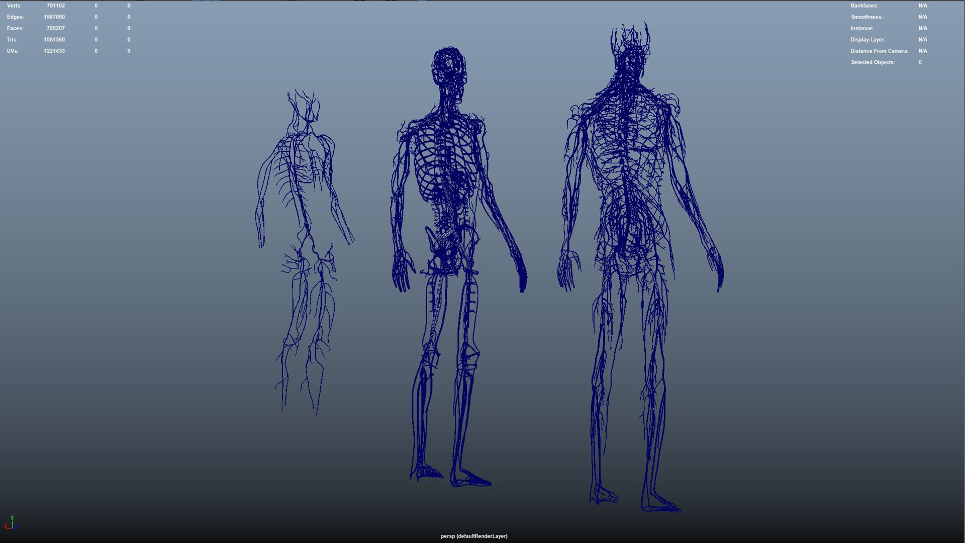 Arteries  veins Nerves and Lymph Nodes 3D https://p.turbosquid.com/ts-thumb/CL/182FPz/4Z/16_8/jpg/1648803645/1920x1080/fit_q87/6f1884fb764eb13ccf135e796535c93f5530e40e/16_8.jpg