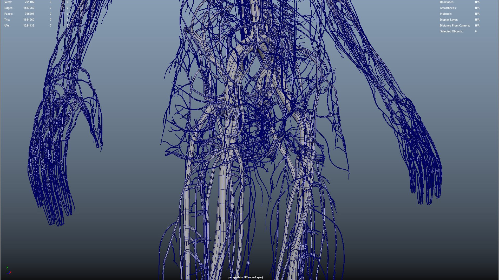 Arteries  veins Nerves and Lymph Nodes 3D https://p.turbosquid.com/ts-thumb/CL/182FPz/Zb/16_5/jpg/1648803650/1920x1080/fit_q87/91d790de12b28cf9580cedffe162b779fbe1dfdf/16_5.jpg
