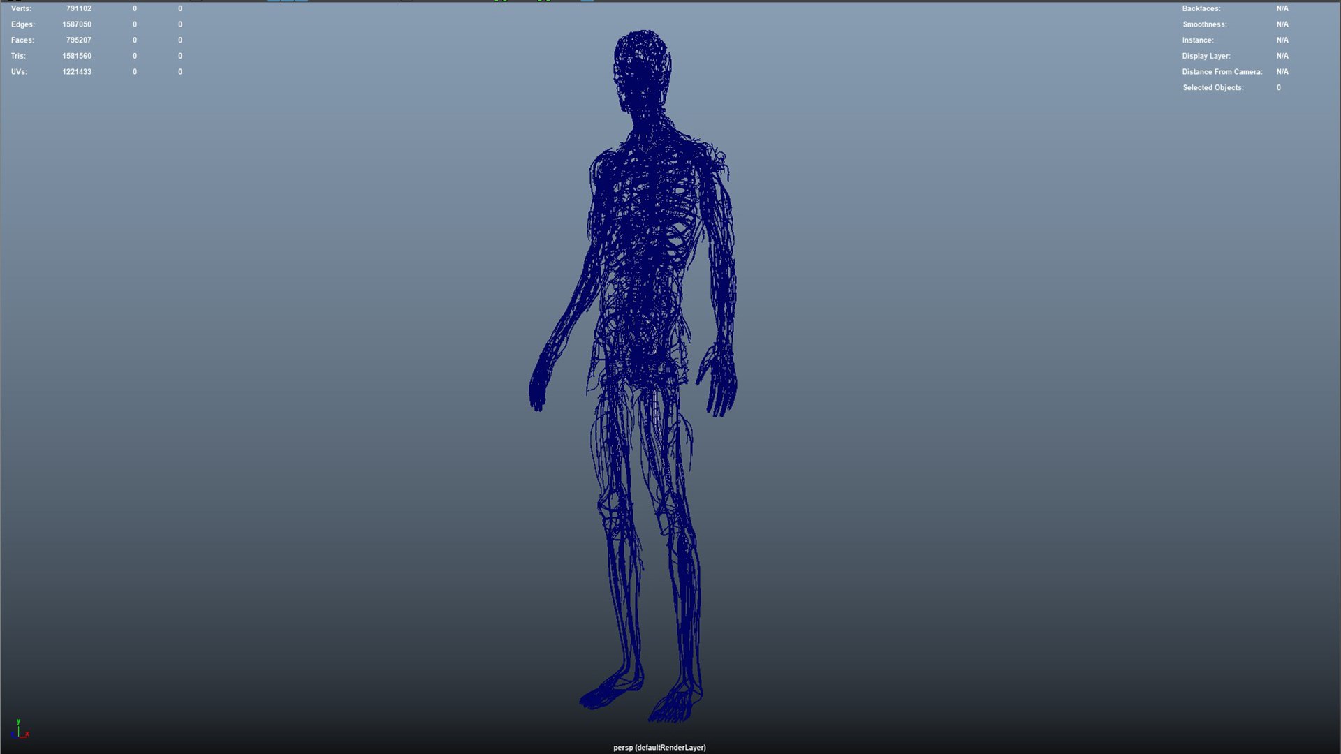 Arteries  veins Nerves and Lymph Nodes 3D https://p.turbosquid.com/ts-thumb/CL/182FPz/aQ/16_2/jpg/1648803645/1920x1080/fit_q87/80b87574e3fffeca94df54fb78ba650192836ea3/16_2.jpg