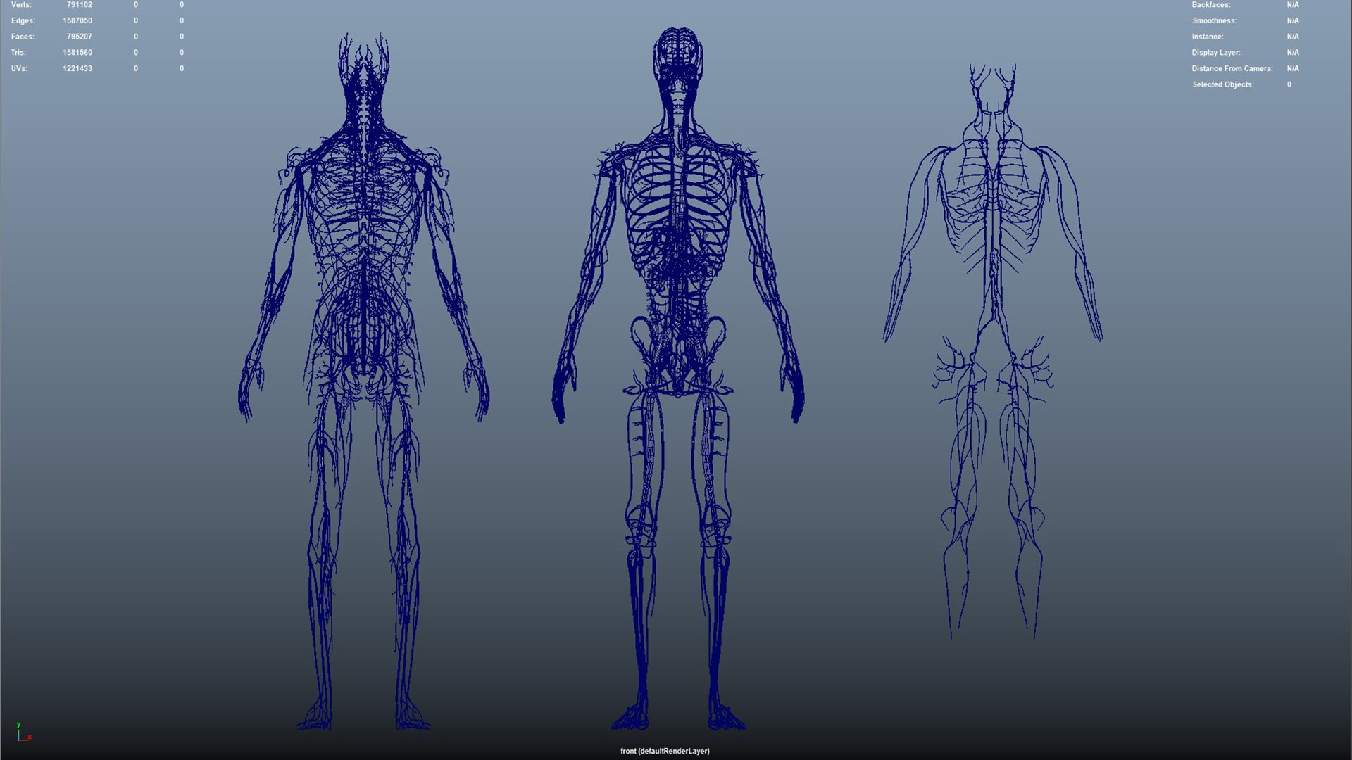 Arteries  veins Nerves and Lymph Nodes 3D https://p.turbosquid.com/ts-thumb/CL/182FPz/b8/16_7/jpg/1648803646/1920x1080/fit_q87/ae417deae6cc704543c3377a88930e8ebe052281/16_7.jpg