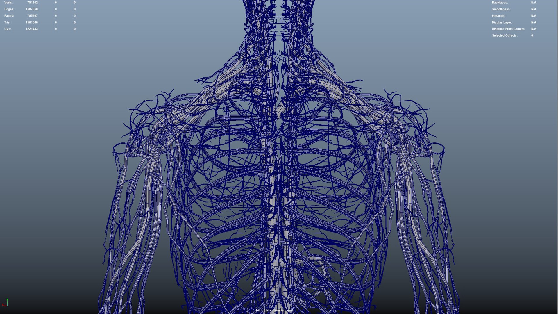 Arteries  veins Nerves and Lymph Nodes 3D https://p.turbosquid.com/ts-thumb/CL/182FPz/ok/16_4/jpg/1648803648/1920x1080/fit_q87/53ef202a40a72077cdfc41db62d31bdd48dcb98a/16_4.jpg