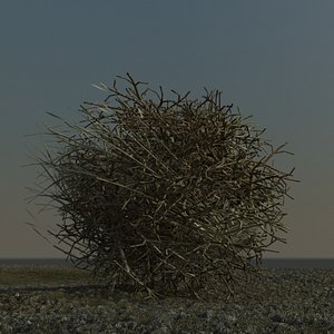 Tumbleweed