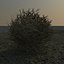 Tumbleweed