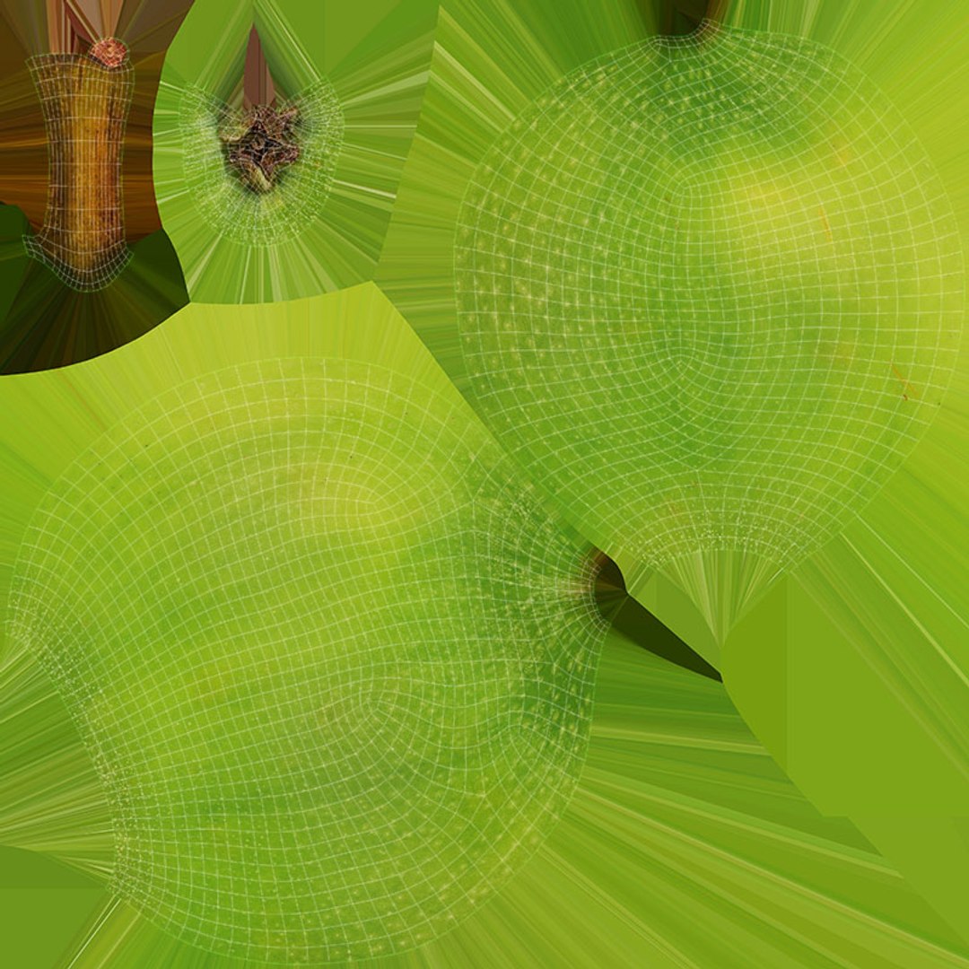 Whole Green Apple Collection model https://p.turbosquid.com/ts-thumb/CL/AZkrpR/M3/greenapplev2_d0004/jpg/1681485023/1920x1080/fit_q87/aecd70fcb3707bc447aa8bf1fe858ef884269736/greenapplev2_d0004.jpg