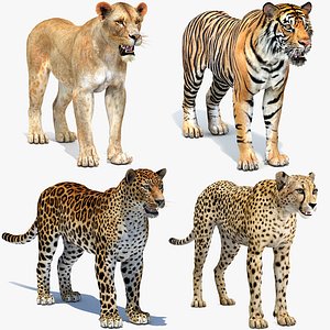 Big Cats 04