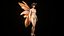 3D Fairy