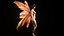 3D Fairy