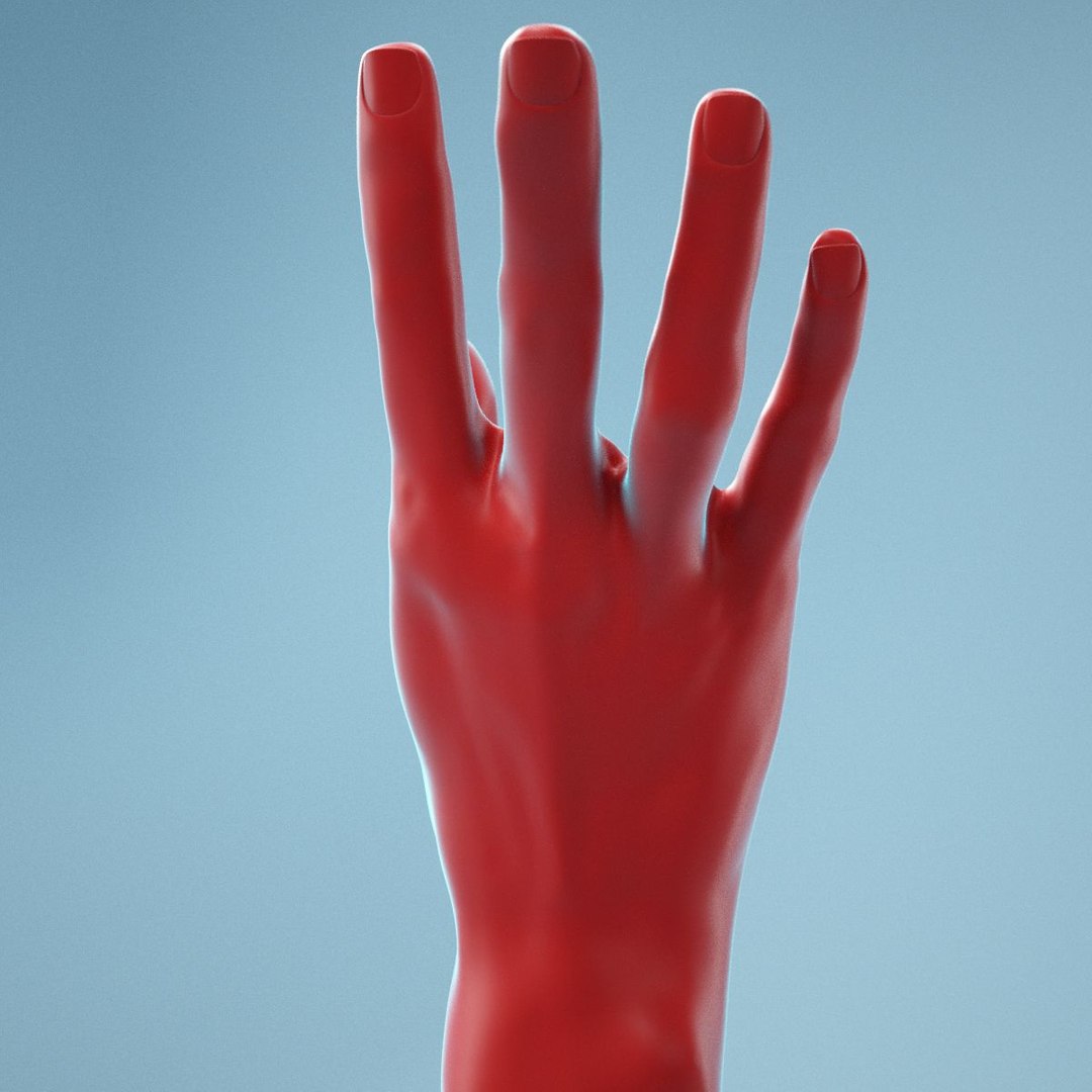 female hand model https://p.turbosquid.com/ts-thumb/CL/KE3S1u/C7mC6F5D/040003/jpg/1569323727/1920x1080/fit_q87/3093c5678dd58d96495ab3be0595abcaf3fde4d4/040003.jpg