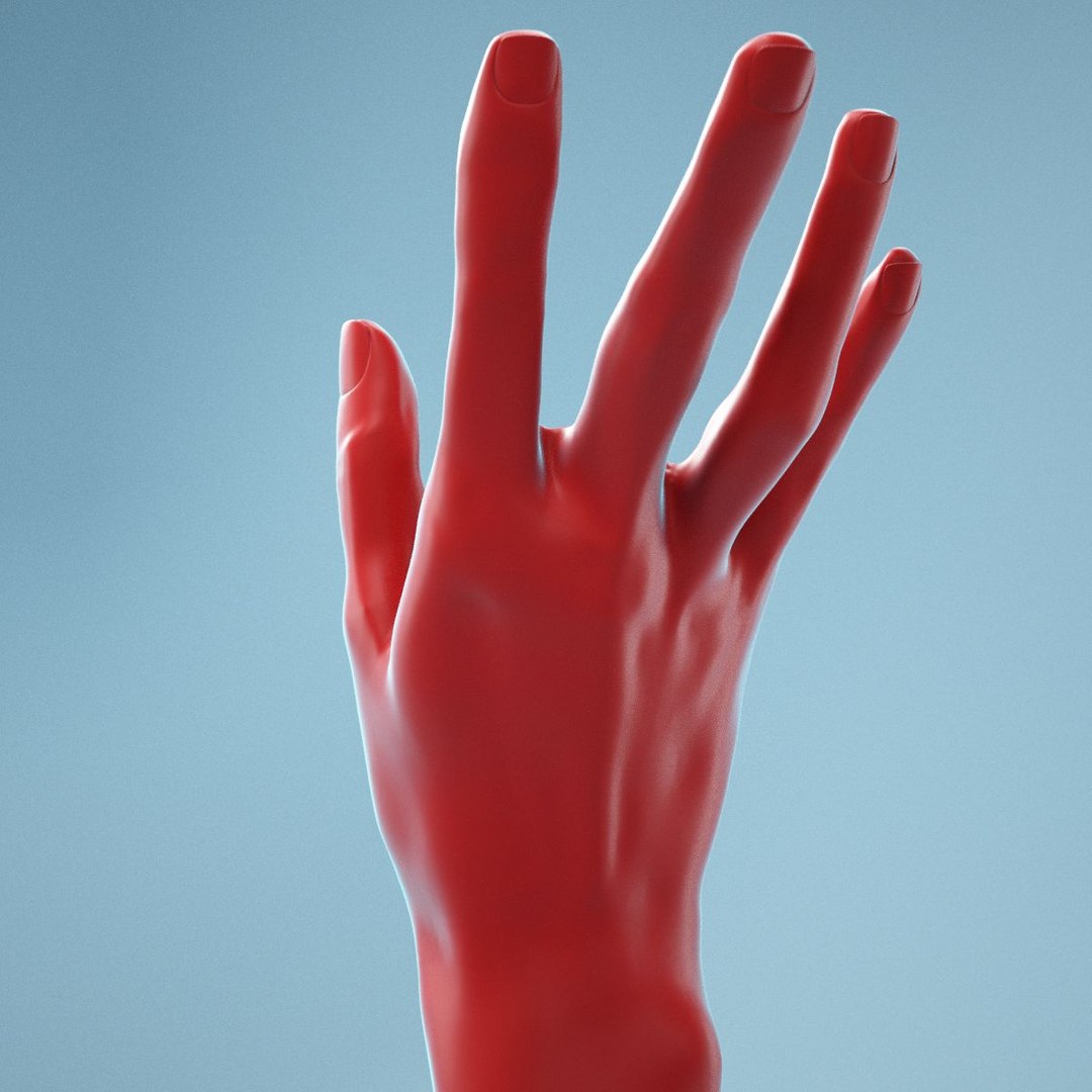 female hand model https://p.turbosquid.com/ts-thumb/CL/KE3S1u/WZEjOkx7/040004/jpg/1569323727/1920x1080/fit_q87/d342c98dd3d4470df4ad198b1efc29d3aa59e287/040004.jpg