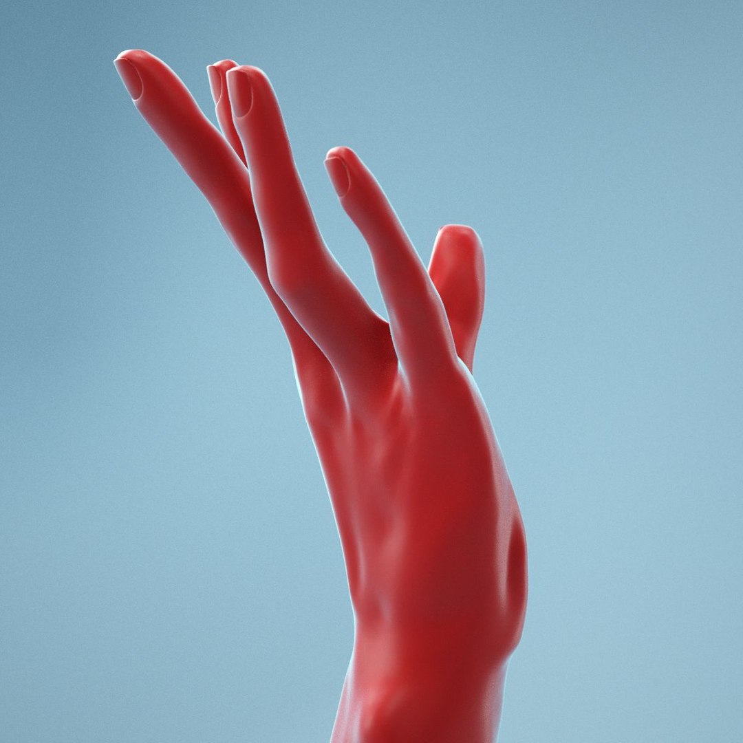 female hand model https://p.turbosquid.com/ts-thumb/CL/KE3S1u/fCeG62JU/040001/jpg/1569323727/1920x1080/fit_q87/f1ef6b89408784b577204473e4290c732fbc7149/040001.jpg