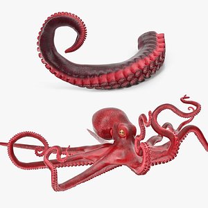 octopus tentacle 3D model
