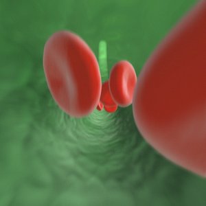 3ds max bloodcells flowing vein