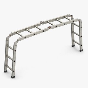 Trestle Ladder