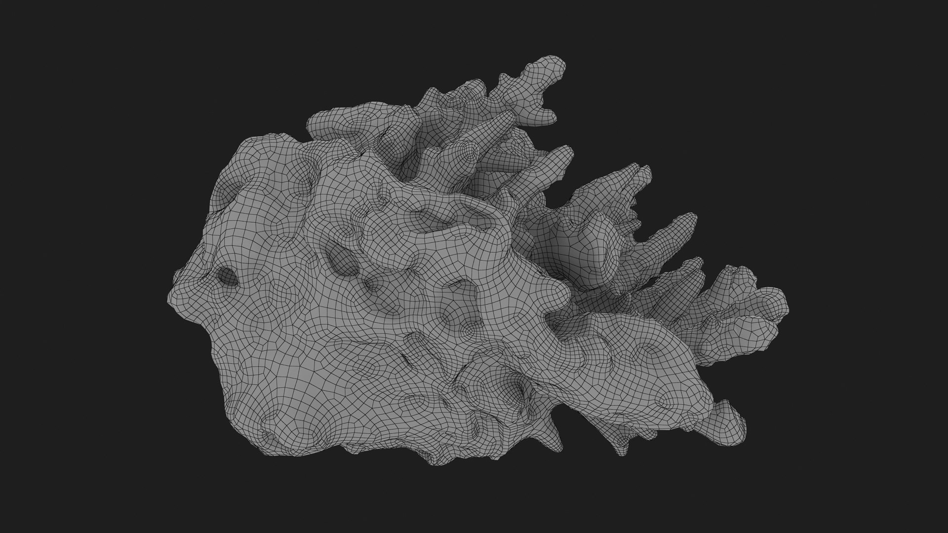 3D model White Coral Reef 01 https://p.turbosquid.com/ts-thumb/CM/AnjD5g/0K/whitecoral01_g0004/jpg/1735923138/1920x1080/fit_q87/e199e35ee9409cd7487ab823490cfdaad1f45a07/whitecoral01_g0004.jpg
