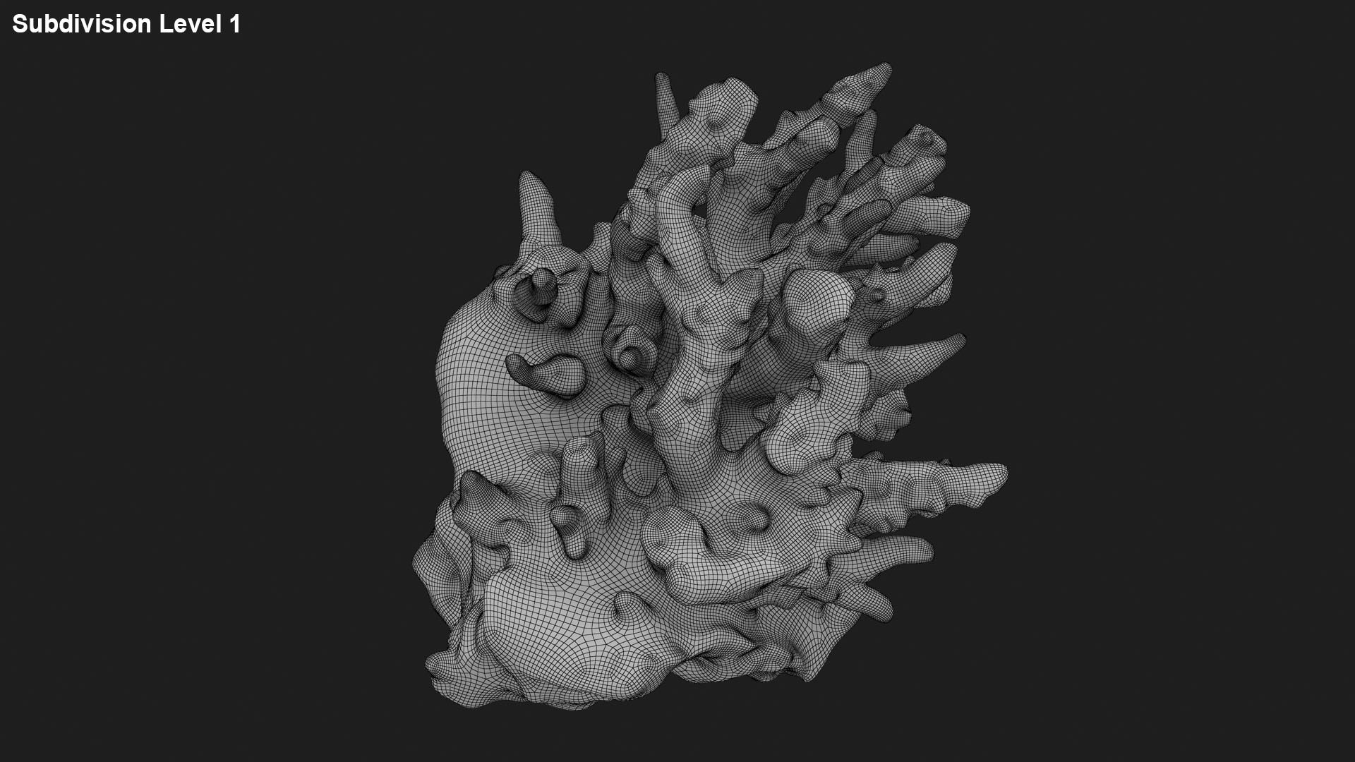 3D model White Coral Reef 01 https://p.turbosquid.com/ts-thumb/CM/AnjD5g/Hr/whitecoral01_g0002/jpg/1735923136/1920x1080/fit_q87/eda3043c822fb624cc36c1517ebc39769bc47d3d/whitecoral01_g0002.jpg