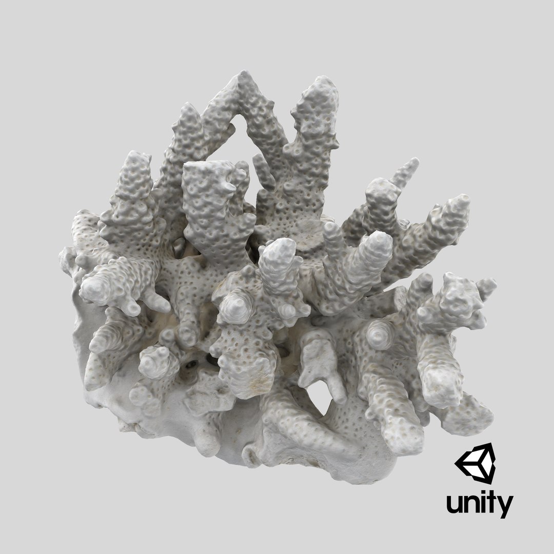 3D model White Coral Reef 01 https://p.turbosquid.com/ts-thumb/CM/AnjD5g/Qh/stemcell_unity_render/png/1736875610/1920x1080/fit_q87/6c0d6f92cb5060425c53c6b4bf203a5e2cf9ed3d/stemcell_unity_render.jpg