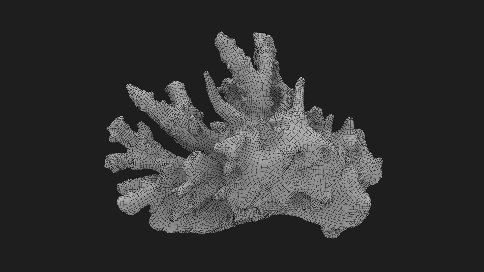 3D model White Coral Reef 01 https://p.turbosquid.com/ts-thumb/CM/AnjD5g/hZ/whitecoral01_g0003/jpg/1735923137/1920x1080/fit_q87/baee9cbd5655c3155ab0497a3463fabfd380b1c3/whitecoral01_g0003.jpg