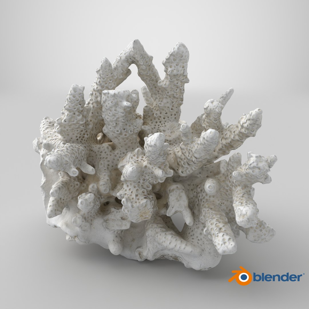 3D model White Coral Reef 01 https://p.turbosquid.com/ts-thumb/CM/AnjD5g/kQ/stemcell_blender_cycles_render/png/1736875590/1920x1080/fit_q87/a3921dc85a8d388d594ce442556e8b8b6b7aab41/stemcell_blender_cycles_render.jpg