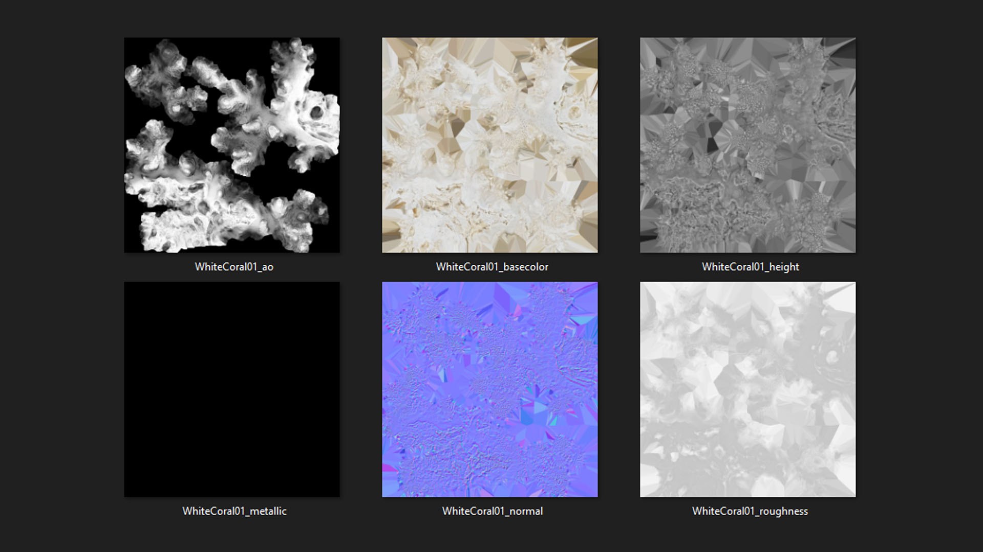 3D model White Coral Reef 01 https://p.turbosquid.com/ts-thumb/CM/AnjD5g/vY/whitecoral01_d0005/jpg/1735923135/1920x1080/fit_q87/ba50086dde710fcb8a4288f877869be0530e4b17/whitecoral01_d0005.jpg