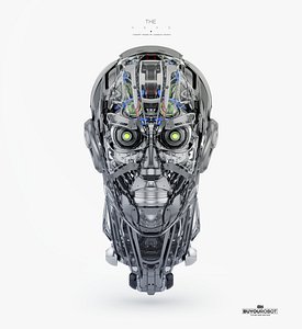 Cyber head
