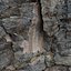 ESCANEO 3D DE CLIFF WALL 8K