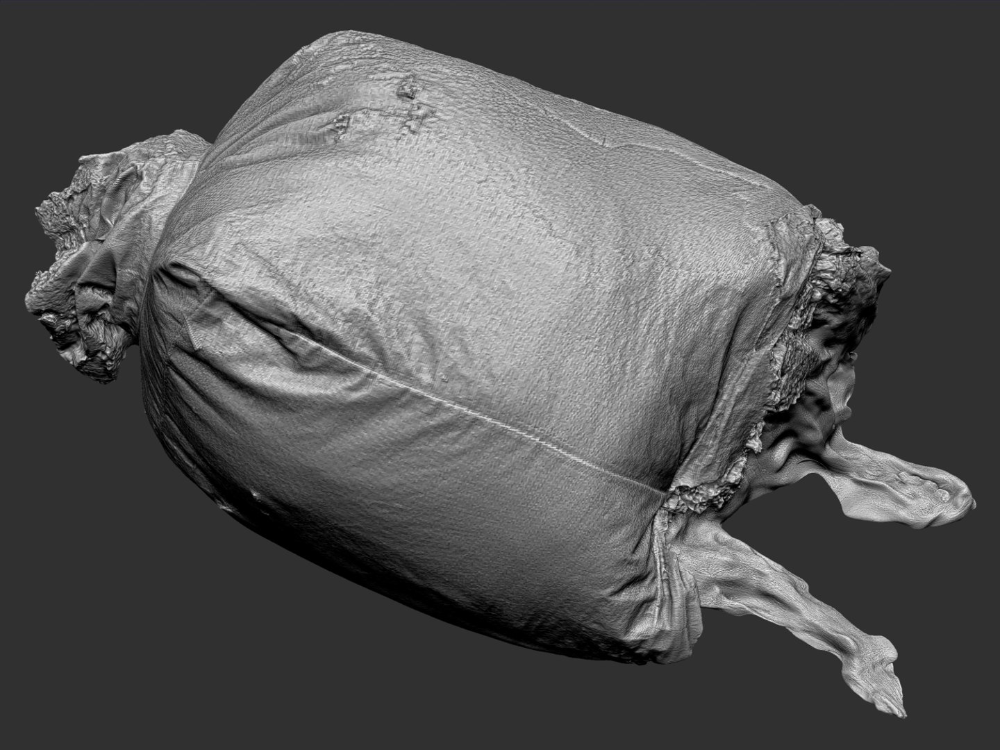 large bags garbages 8k 3d obj https://p.turbosquid.com/ts-thumb/CM/NJSi4t/j0OyYsj0/7789/jpg/1453752616/1920x1080/fit_q87/bd7095c6388ff091a0cbc2056d577c946322c96d/7789.jpg