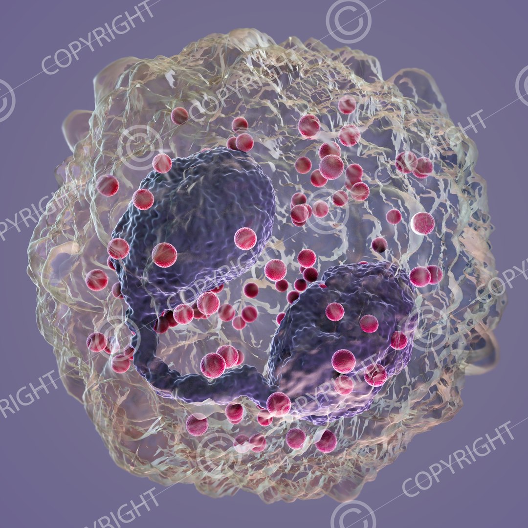 Science 3D Model - TurboSquid 1372689
