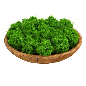Wood bowl with moss 3D model