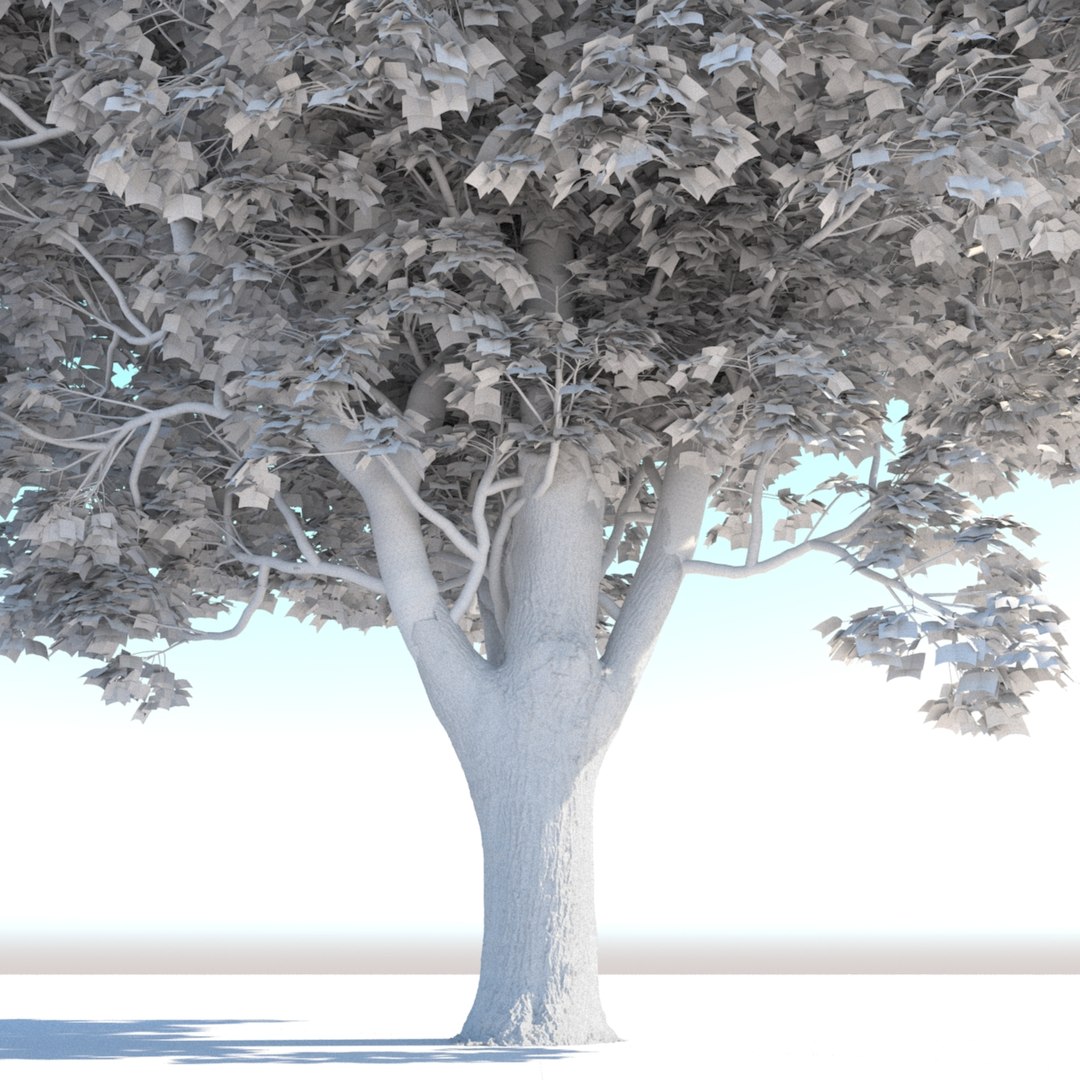Realistic Mature Tree Max