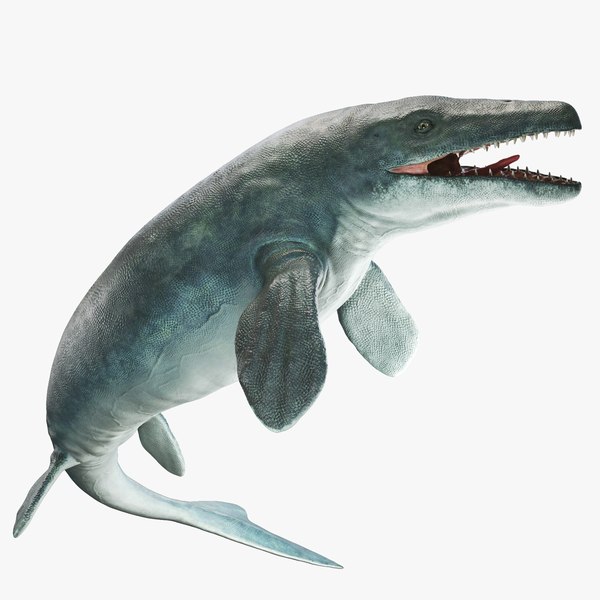 Mosasaurus Hoffmannii Zmontowany Model 3D - TurboSquid 2385849
