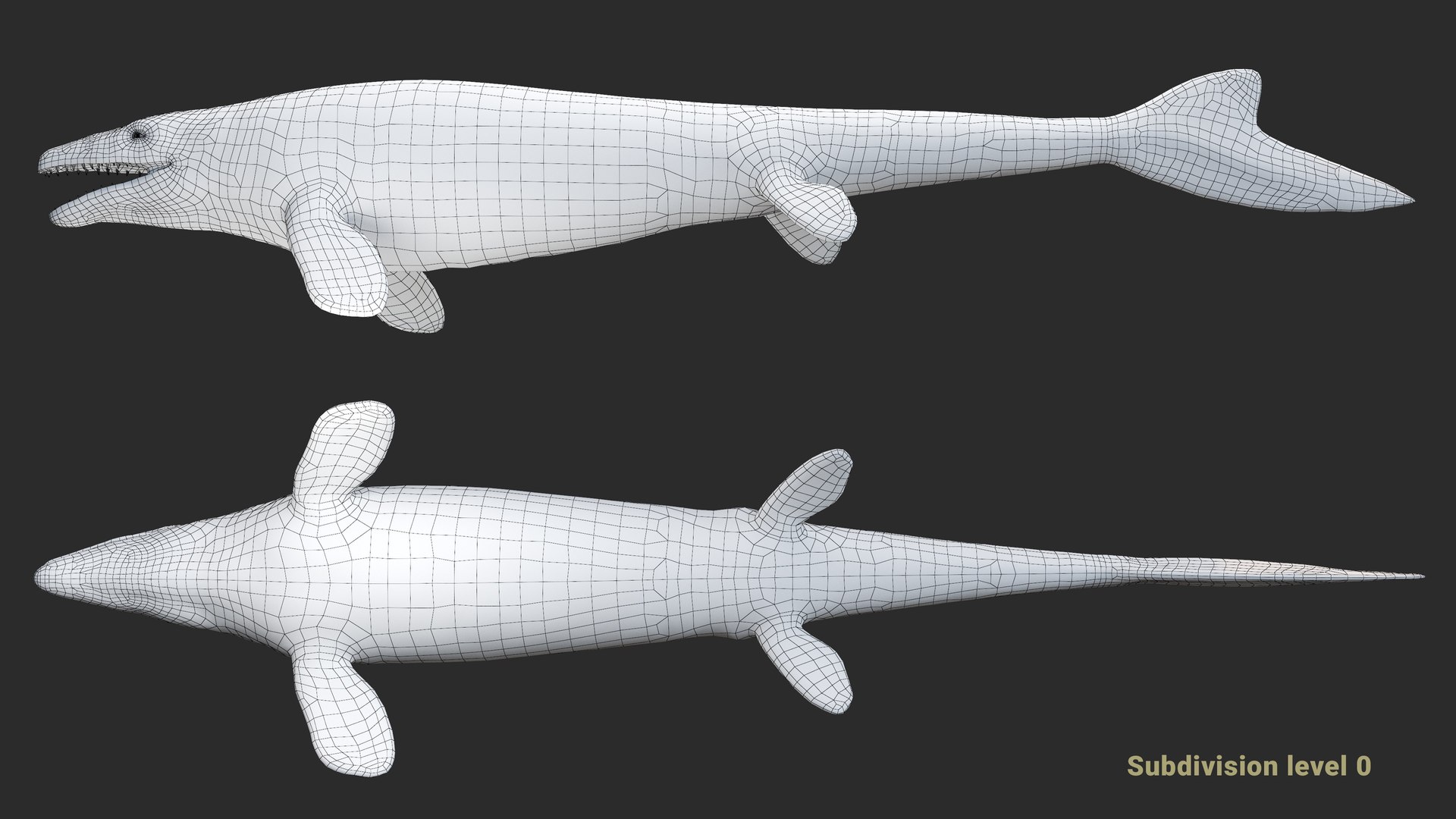 3D Mosasaurus Hoffmannii Rigged Model - TurboSquid 2385849