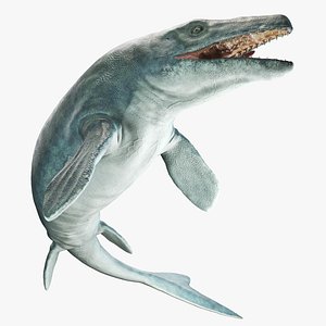 3D Mosasaurus Hoffmannii Rigged model