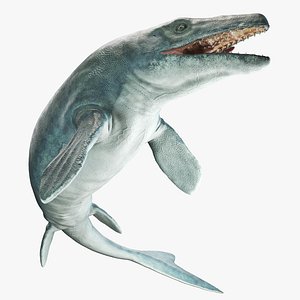Mosasaurus Hoffmannii Rigged