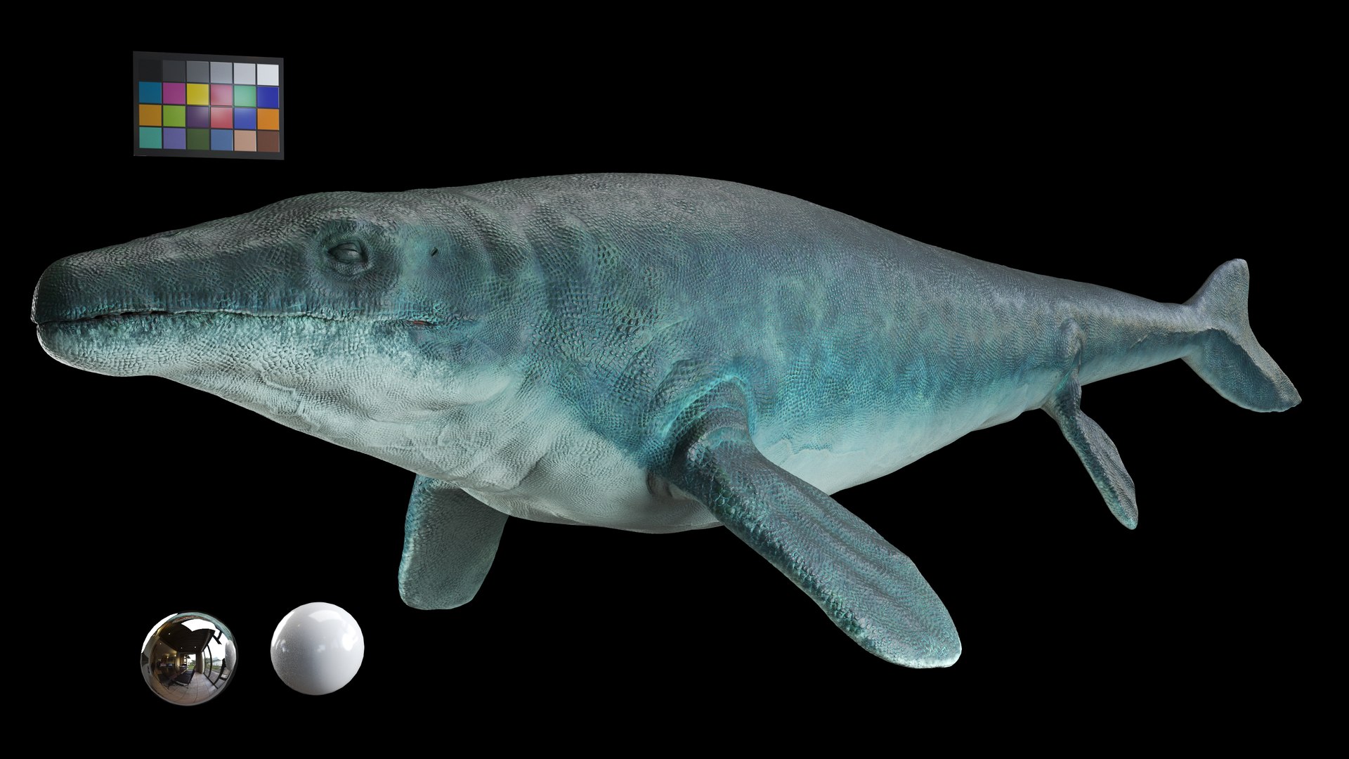 3D Mosasaurus Hoffmannii Rigged Model - TurboSquid 2385849