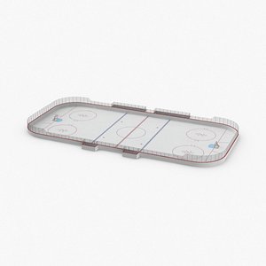 Hockey Rink