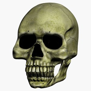 3ds animation skull talk