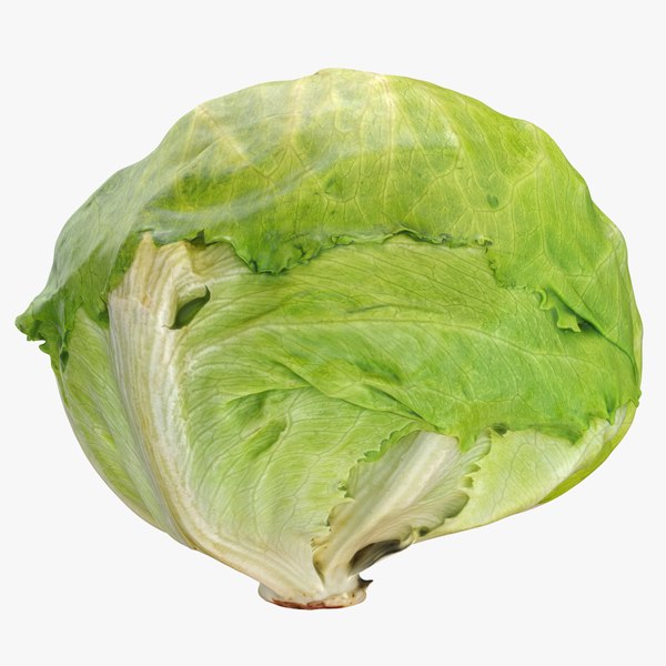 lettuce_02_square_0000.jpg