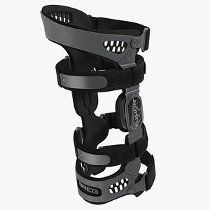 3D BREG Knee Brace model