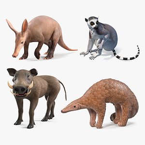 Rigged African Mammals Collection 3D model