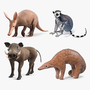Rigged African Mammals Collection