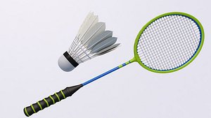 Badminton Racket and Shuttlecock