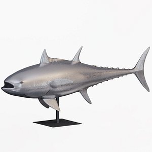 3D phillips base bluefin tuna