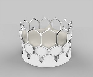 3D model Heart Valve