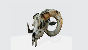 Ram Skull 3D Model 3D