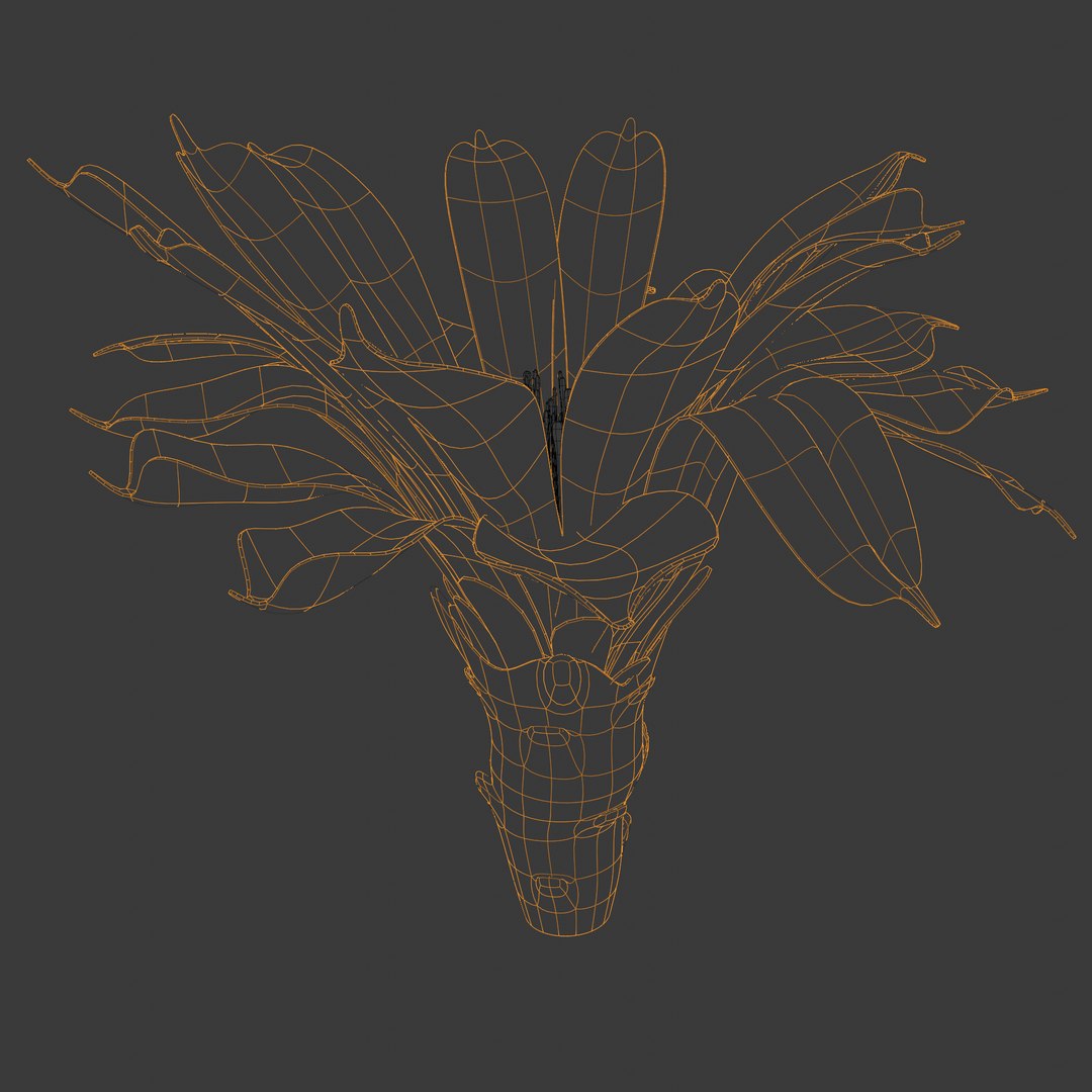 3D blooming cactus model https://p.turbosquid.com/ts-thumb/CN/z4D8lV/Vs/070221_6/png/1613083407/1920x1080/fit_q87/112b03e0392a7894189fcd8c7798da187754b868/070221_6.jpg