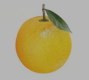 Orange Dae and Blend 3D model