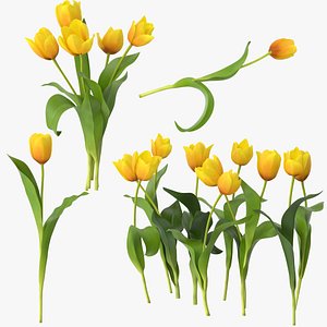 3d model tulips yellow