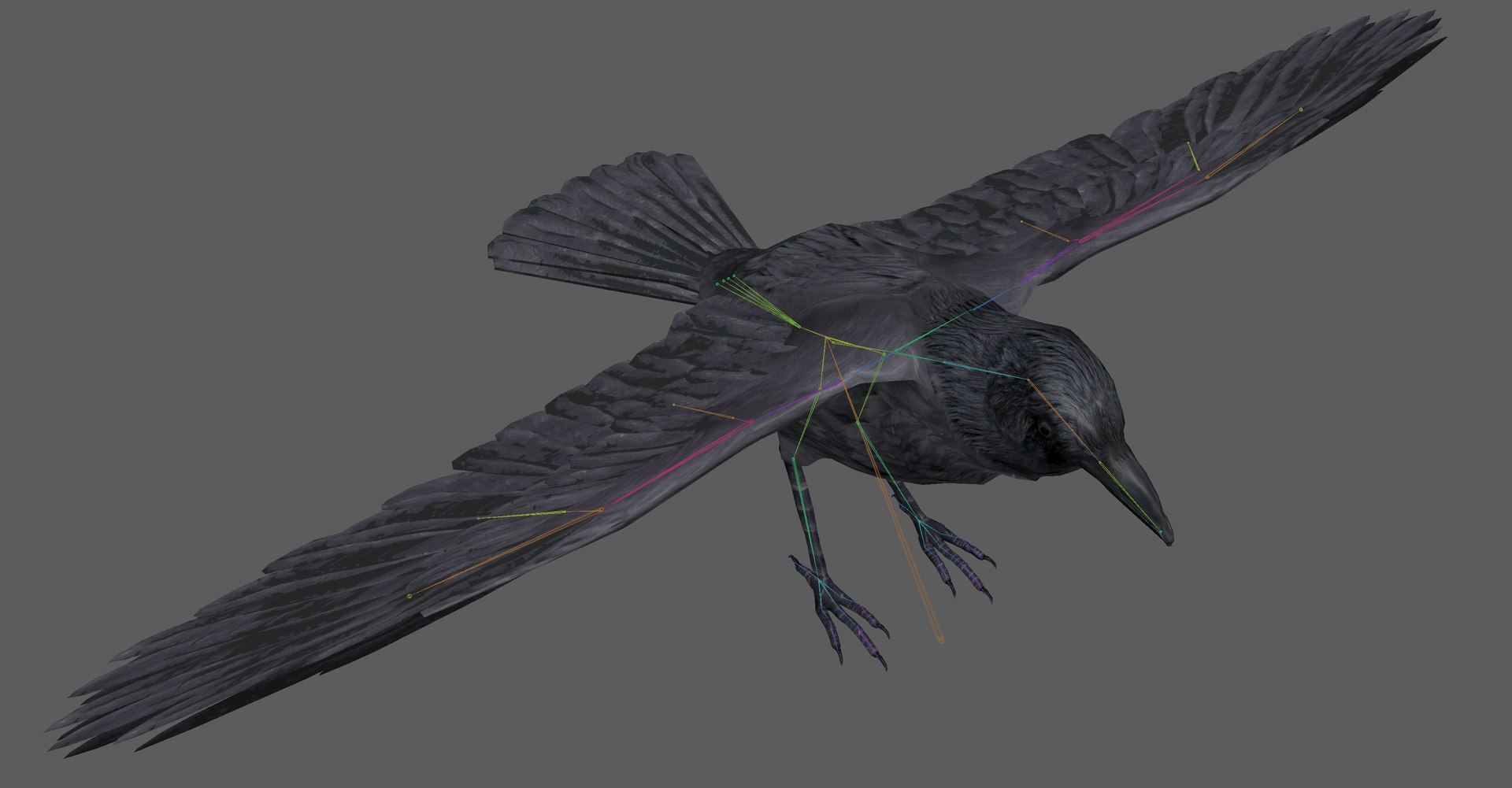 Crow Rigged 3D - TurboSquid 1899454