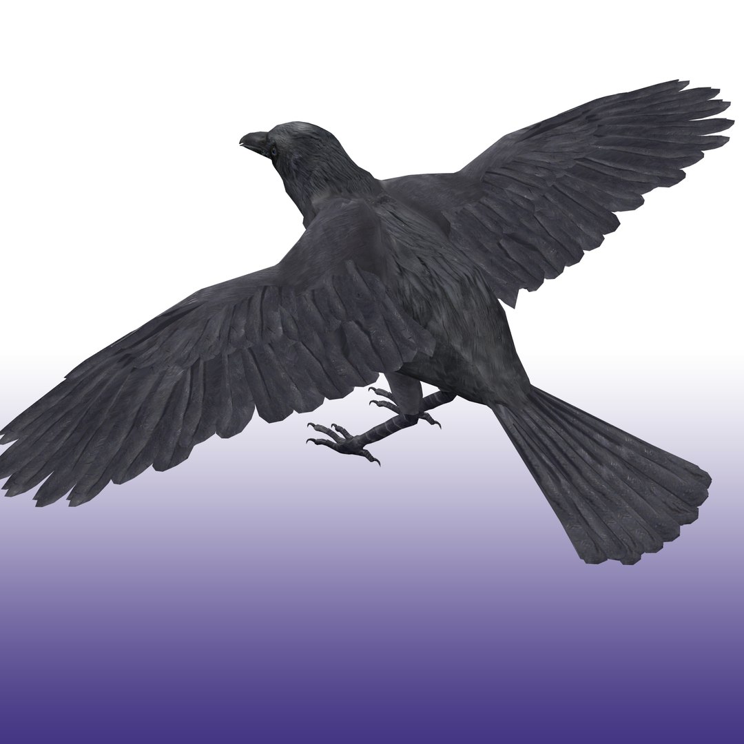 Crow Rigged 3D https://p.turbosquid.com/ts-thumb/CO/9jazWf/Ek/render_snap_5/png/1652878999/1920x1080/fit_q87/2fa243672919b7a8dfb99ed55cf493d48a62860a/render_snap_5.jpg